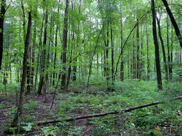 Mansfield, OH 44903,0 Bowers Road