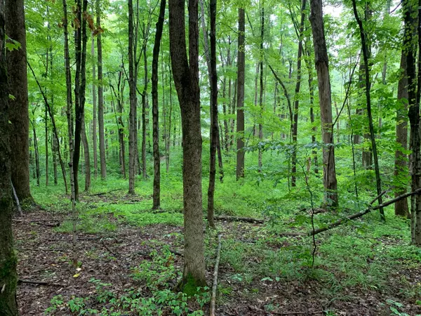 Mansfield, OH 44903,0 Bowers Road