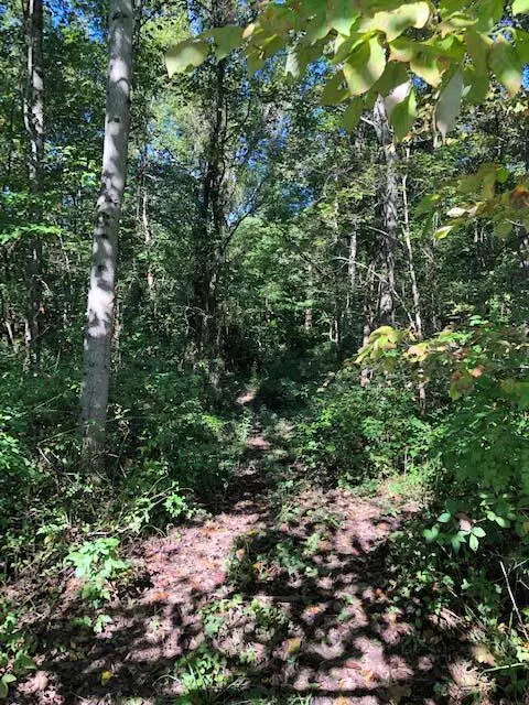 Stockport, OH 43787,0 E J Ross Lane