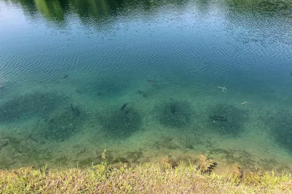 Byesville, OH 43723,13900 Conquer Hill Road