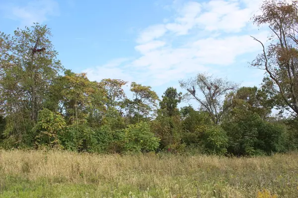 Hopewell, OH 43746,0 Flint Ridge Road