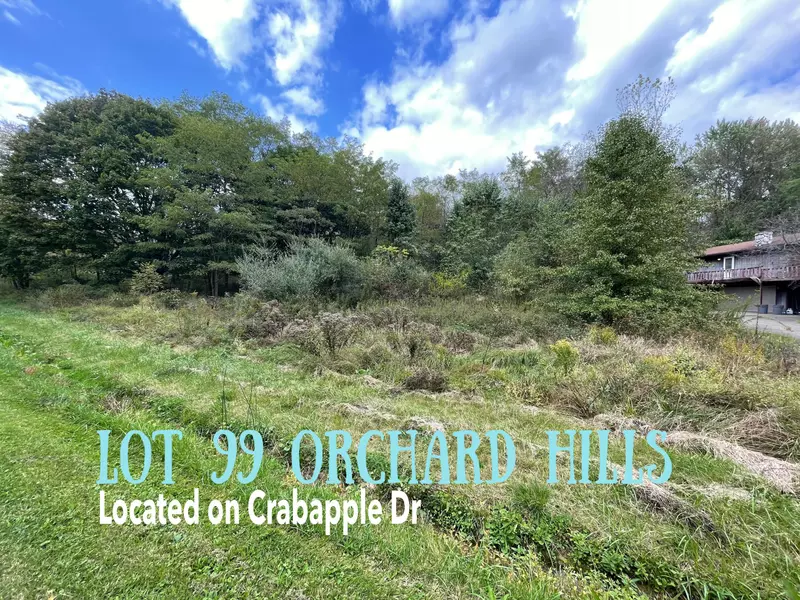 214 Crabapple Drive #Lot# 99, Howard, OH 43028