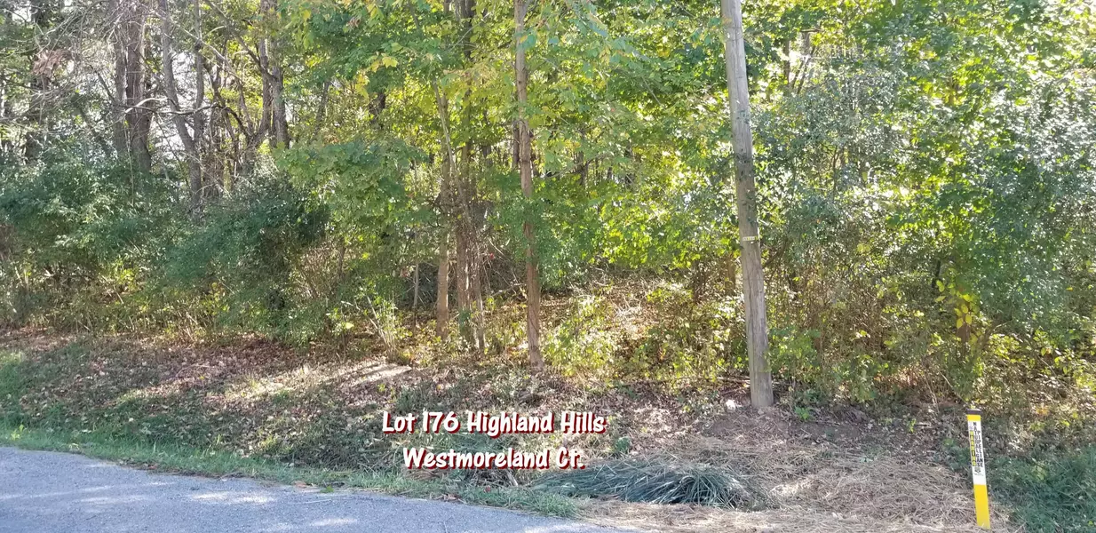 62 Westmoreland Court #Lot# 176, Howard, OH 43028