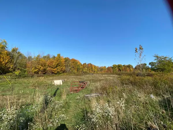 Mount Gilead, OH 43338,4587 Township Road 77