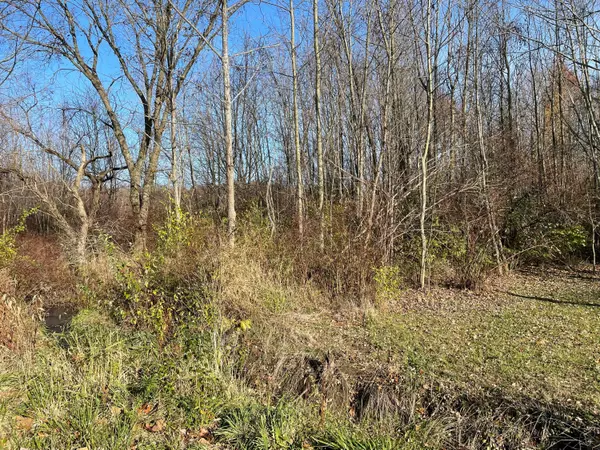 Mount Gilead, OH 43338,0 County Road 114 #-- 21,77Ac