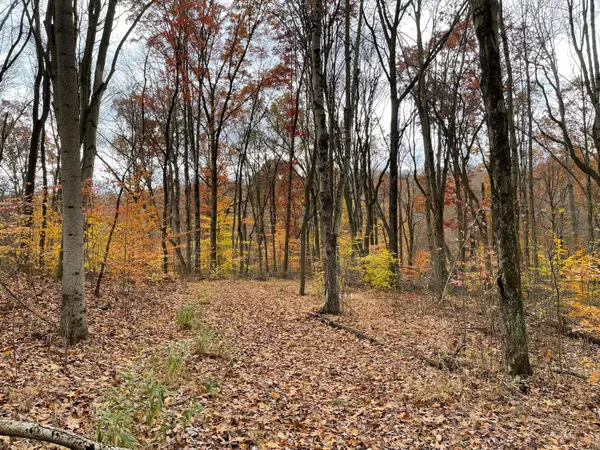 Rockbridge, OH 43149,0 Middlefork Road #lots3-6, 42-45