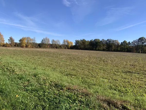 Cardington, OH 43315,0 Caledonia Ashley Road #Tract 2