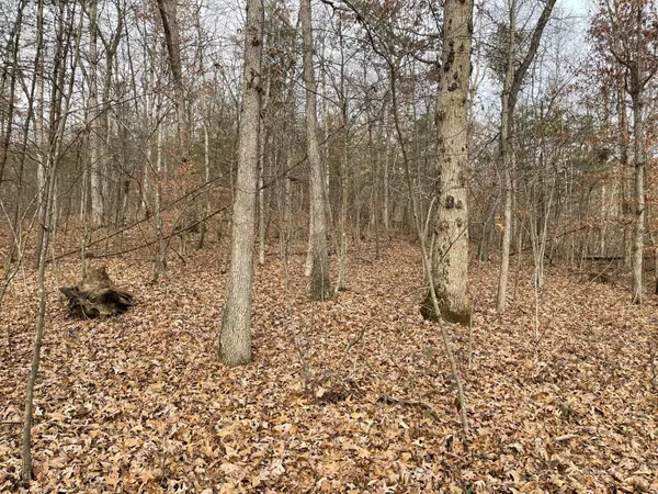 West Portsmouth, OH 45663,0 Careys Run Pond Creek Road