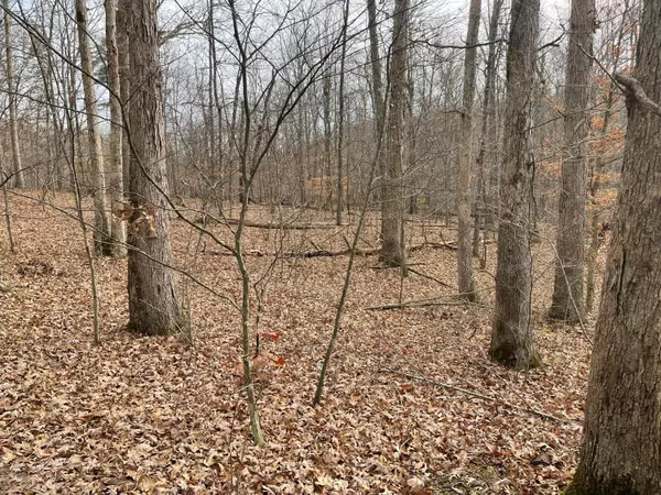 West Portsmouth, OH 45663,0 Careys Run Pond Creek Road