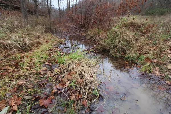 New Matamoras, OH 45767,0 Wilson Run Road