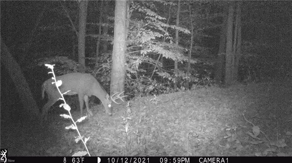 Chesterhill, OH 43728,0 Stutsman Lane