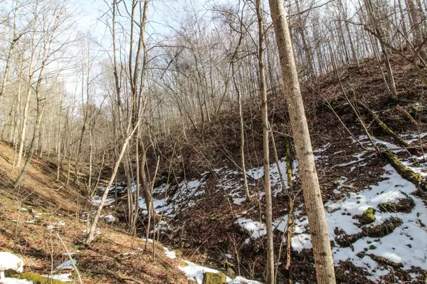 Newport, OH 45768,0 Kerr Run Road