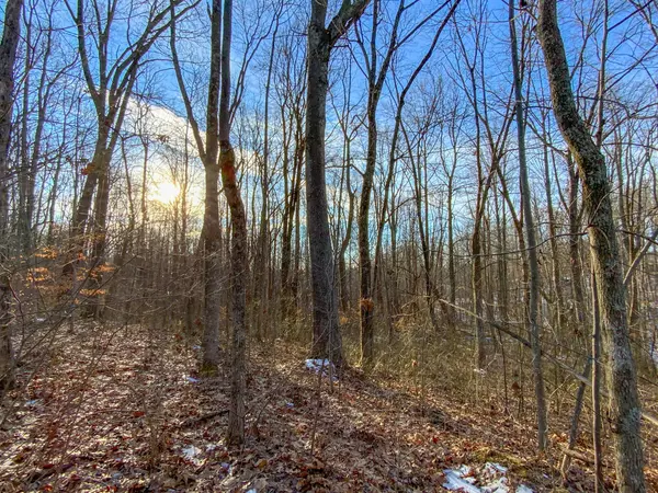 Mcarthur, OH 45651,0 Murphy Remy Road