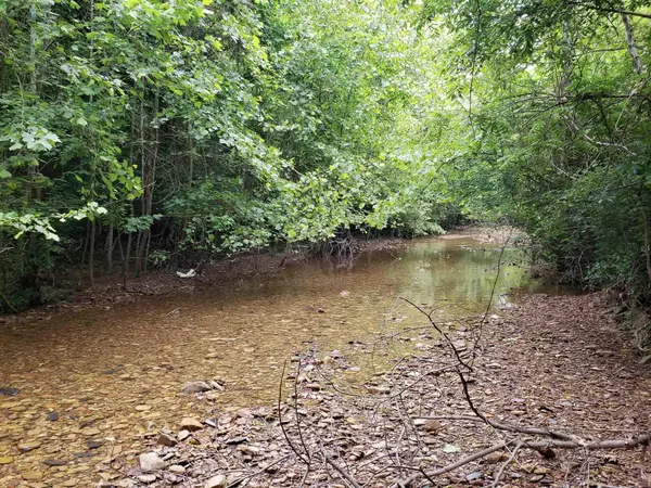 Lucasville, OH 45648,0 Skidmore Hollow Road #(Tract 4)