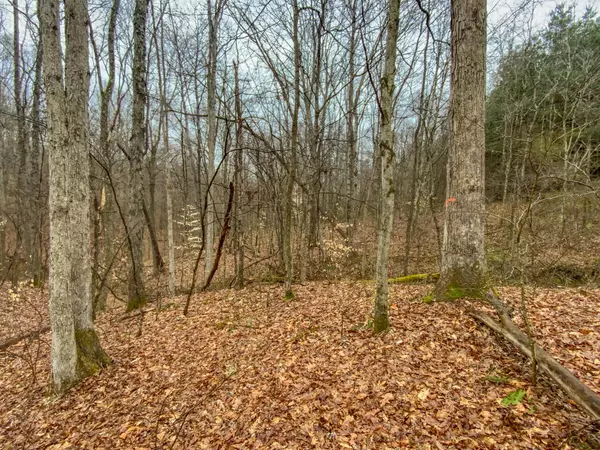 Caldwell, OH 43724,0 Township Rd 3