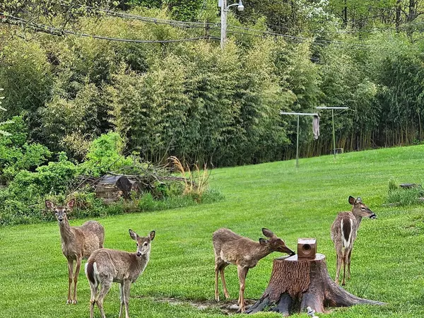 Bremen, OH 43107,153 Hide-A-Way Hills Lane