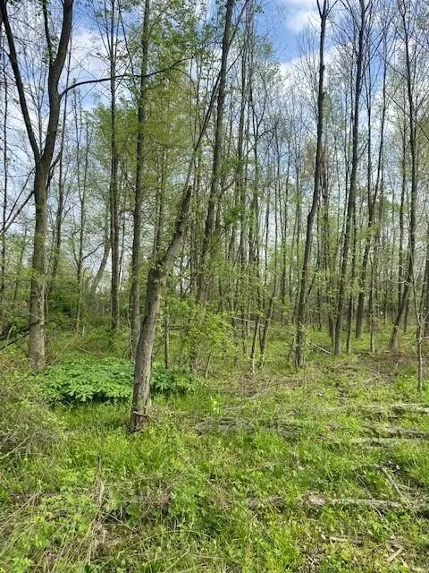 Westerville, OH 43082,11869 Center Village Road