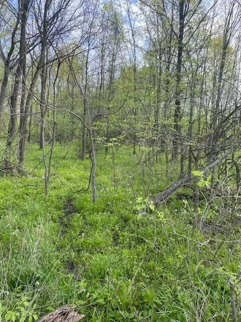 Westerville, OH 43082,11869 Center Village Road