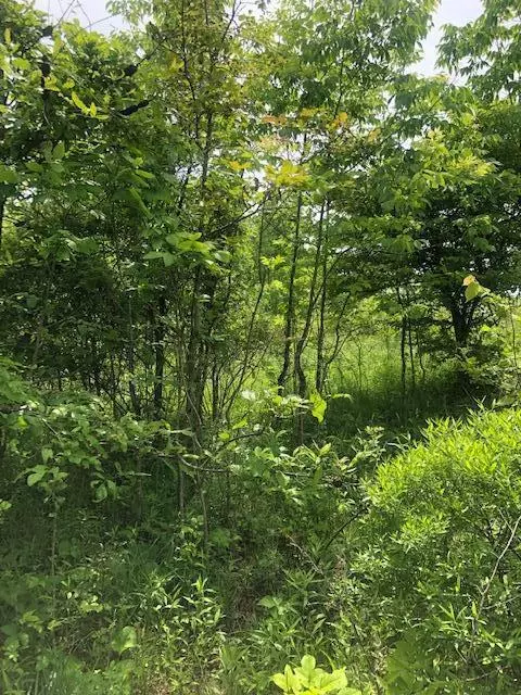 Mount Perry, OH 43760,0 Gard Lane #Lot 23