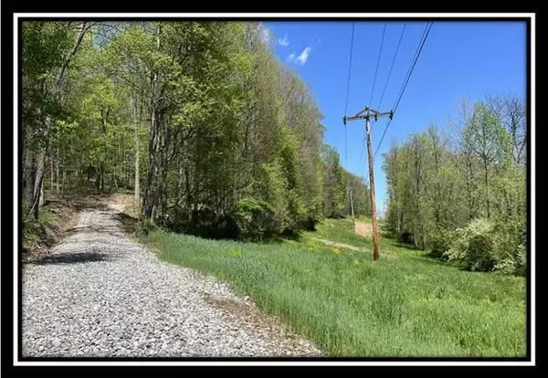 Piketon, OH 45661,398 Sunfish Creek Road #Tract 3