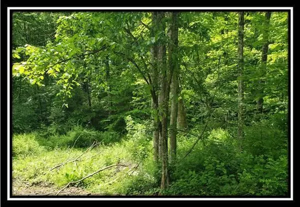 New Lexington, OH 43764,0 Township Road 314 #(Perry Retreat - Tract 4)