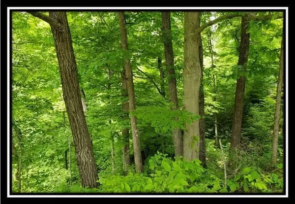New Lexington, OH 43764,0 Township Road 312 #(Perry Retreat - Tract 7)