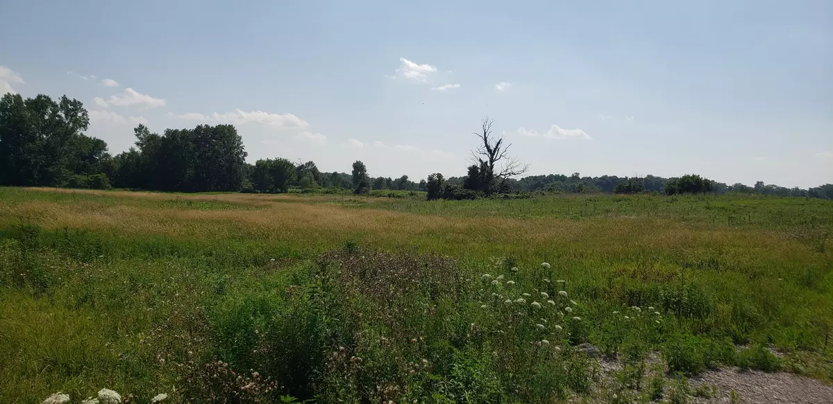 Mount Gilead, OH 43338,6068 State Route 61