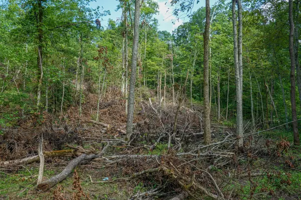 Stewart, OH 45778,0 Featherstone Road