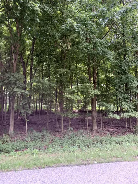 0 Orchard View Court #Lot 176, Howard, OH 43028