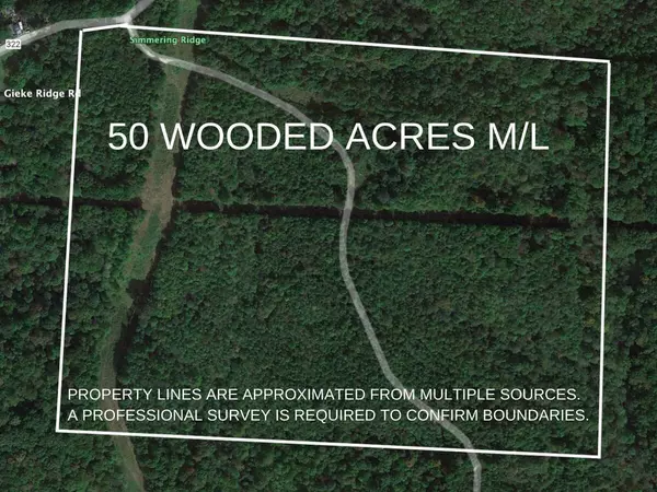 0 Gieke Ridge Road, Oak Hill, OH 45656