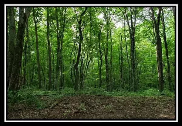 0 Pedigo Ridge Road #(Tract 5), New Marshfield, OH 45766