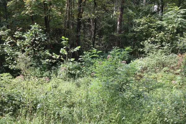 0 Crowley Drive #Lot 12, Roseville, OH 43777