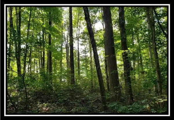 New Marshfield, OH 45766,0 Pedigo Ridge Road #(Tract 1)