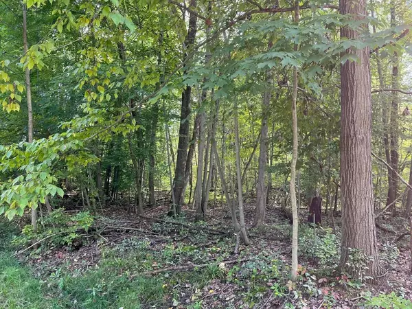 Mount Gilead, OH 43338,7326 State Route 19 #Unit 2, Lots 322 & 323