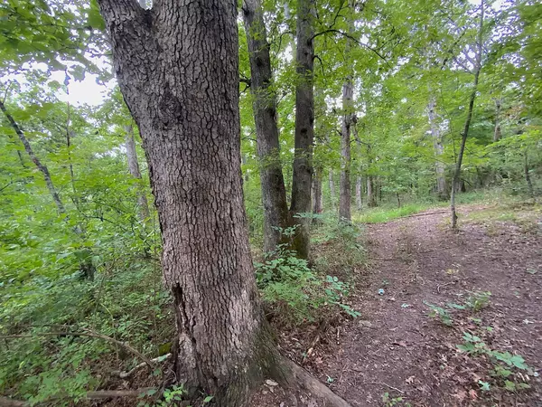 Kitts Hill, OH 45645,0 Deloss Creek