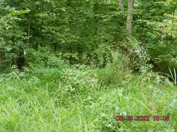 Howard, OH 43028,0 Westmoreland Drive #Lot 157 Highland Hills