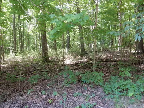 Howard, OH 43028,0 Woodridge Court #Lot 374 Highland Hills