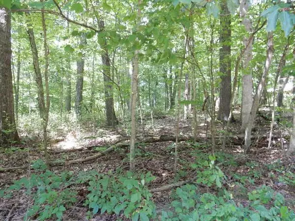 Howard, OH 43028,0 Woodridge Court #Lot 374 Highland Hills