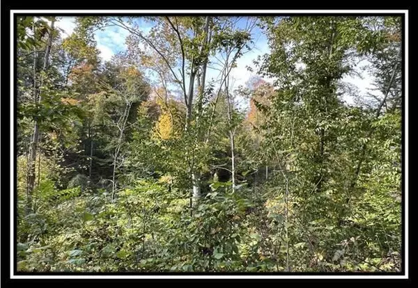 Gallipolis, OH 45631,0 Possum Trot Road Road #(Tract 4)