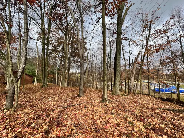 Mount Gilead, OH 43338,7326 SR 19 Unit 1 Lot 166