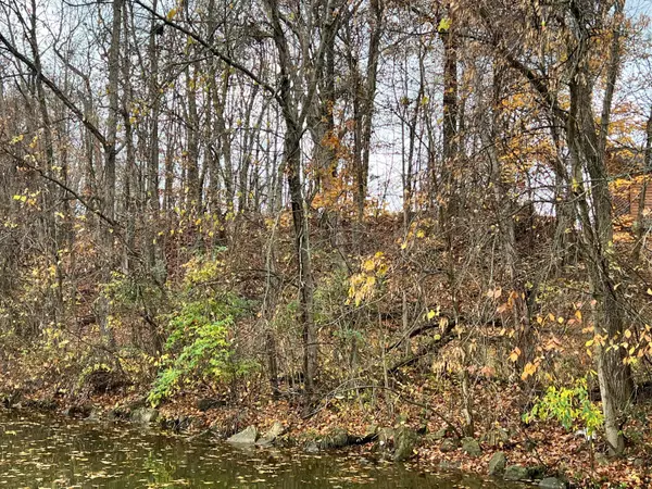 Mount Gilead, OH 43338,7326 SR 19 Unit 1 Lot 166