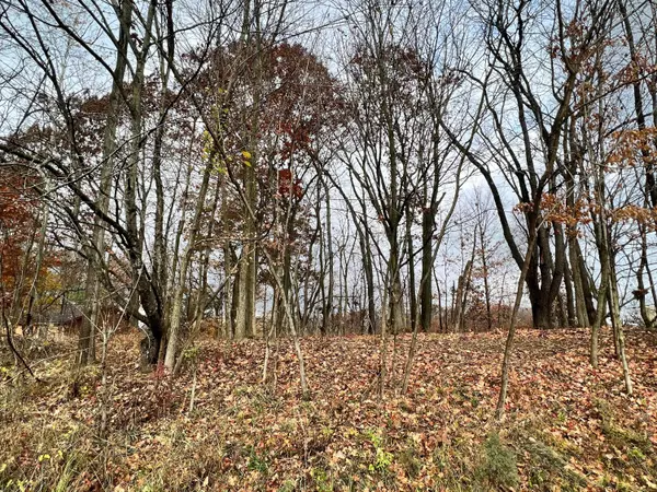 Mount Gilead, OH 43338,7326 SR 19 Unit 1 Lot 166