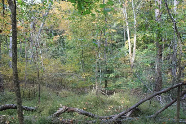 Sugar Grove, OH 43155,1247 Zuni Lane