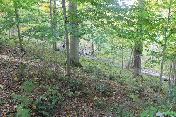 Sugar Grove, OH 43155,1247 Zuni Lane