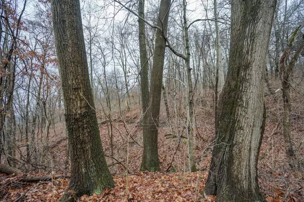 Belpre, OH 45714,0 Lockhart Road