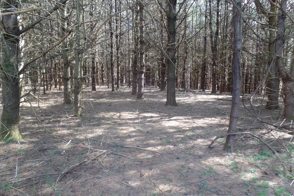 Caldwell, OH 43724,0 State Route 78