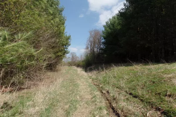 Caldwell, OH 43724,0 Forest Grove Ridge Road