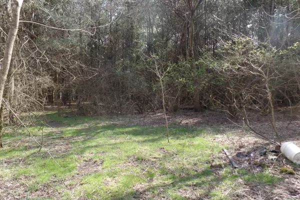 Caldwell, OH 43724,0 Forest Grove Ridge Road