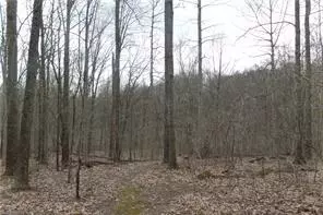 Caldwell, OH 43724,0 Don Wiley Road