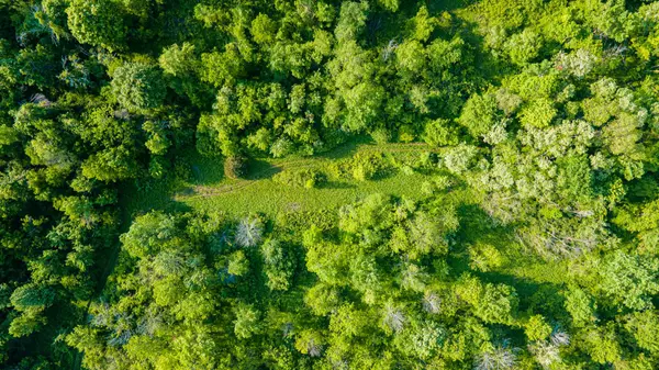 Mount Gilead, OH 43338,0 Township Road 92